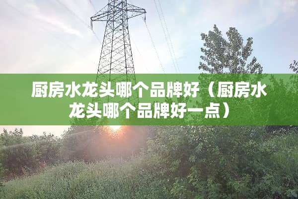 厨房水龙头哪个品牌好（厨房水龙头哪个品牌好一点）