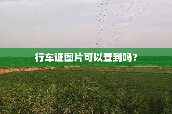 行车证图片可以查到吗？