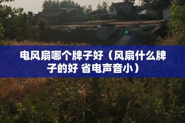 电风扇哪个牌子好（风扇什么牌子的好 省电声音小）