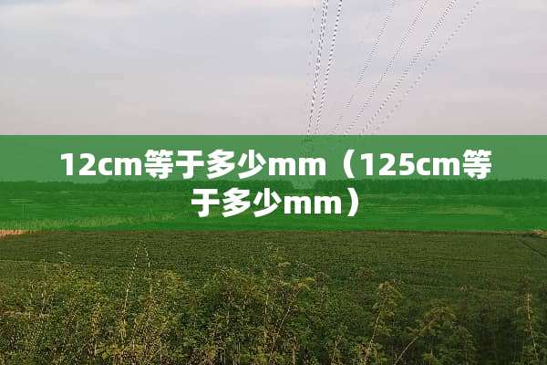 12cm等于多少mm（125cm等于多少mm）
