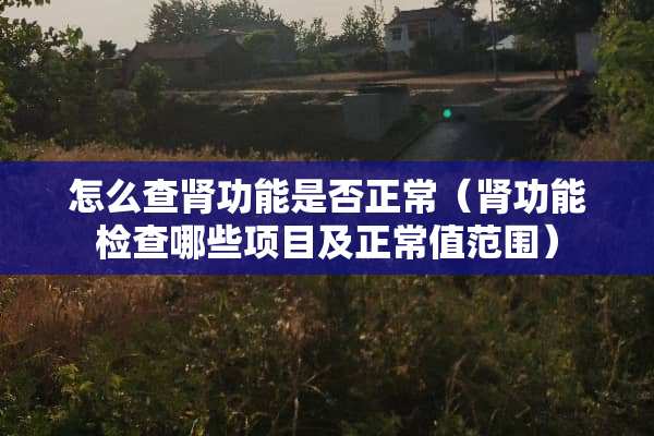 怎么查肾功能是否正常（肾功能检查哪些项目及正常值范围）