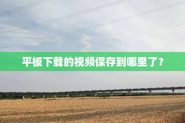 平板下载的视频保存到哪里了？