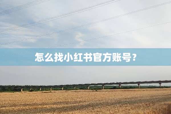 怎么找小红书官方账号？