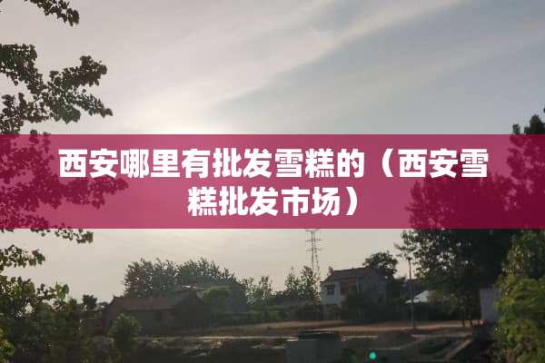西安哪里有批发雪糕的（西安雪糕批发市场）