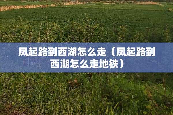 凤起路到西湖怎么走（凤起路到西湖怎么走地铁）