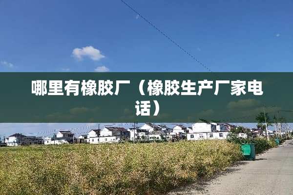 哪里有橡胶厂（橡胶生产厂家电话）