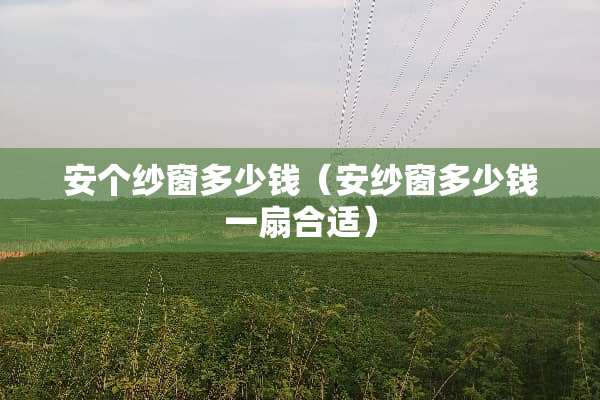 安个纱窗多少钱（安纱窗多少钱一扇合适）