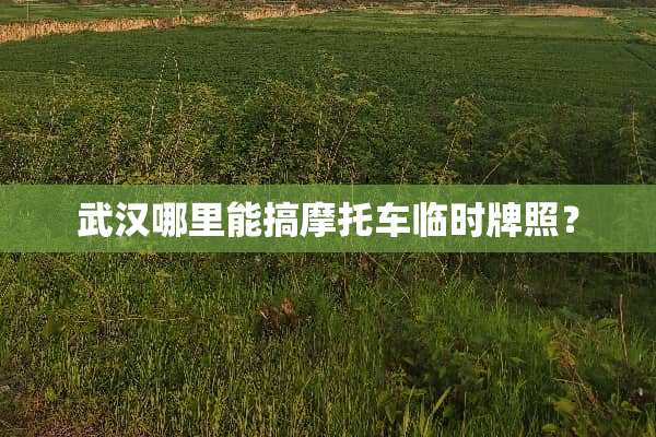 武汉哪里能搞摩托车临时牌照？