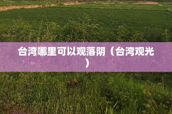 **哪里可以观落*（**观光）
