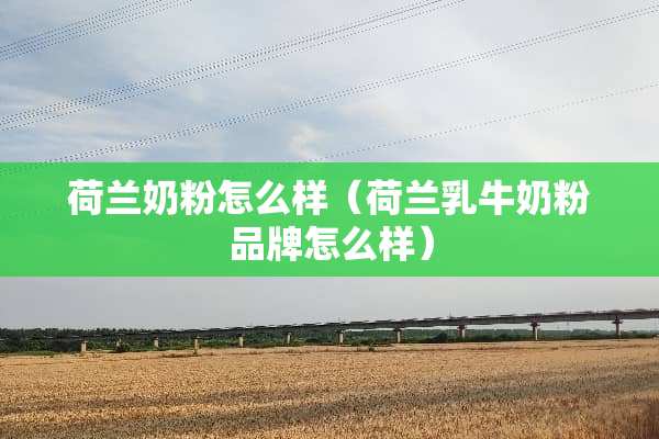 荷兰奶粉怎么样（荷兰*牛奶粉品牌怎么样）