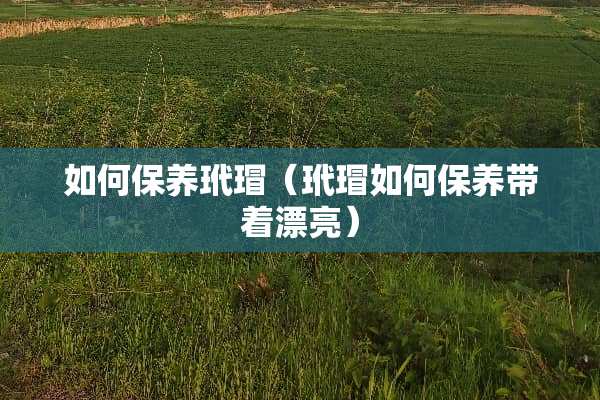 如何保养玳瑁（玳瑁如何保养带着漂亮）