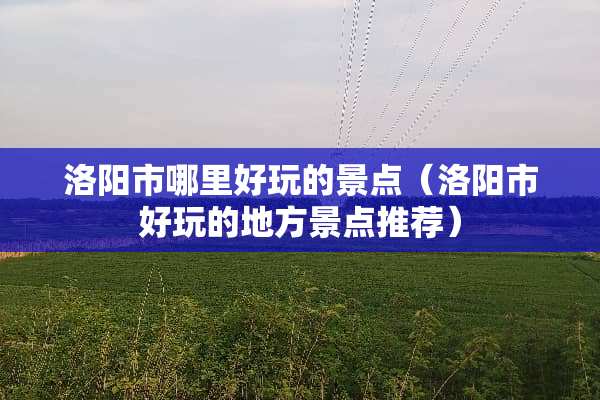 洛阳市哪里好玩的景点（洛阳市好玩的地方景点推荐）