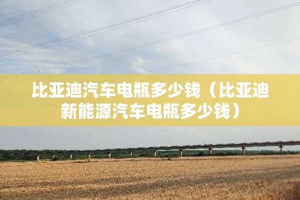 比亚迪汽车电瓶多少钱（比亚迪新能源汽车电瓶多少钱）