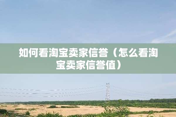 如何看淘宝卖家信誉（怎么看淘宝卖家信誉值）