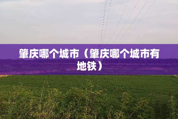肇庆哪个城市（肇庆哪个城市有地铁）