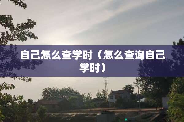 自己怎么查学时（怎么查询自己学时）