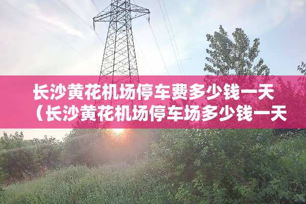 长沙黄花机场停车费多少钱一天（长沙黄花机场停车场多少钱一天）
