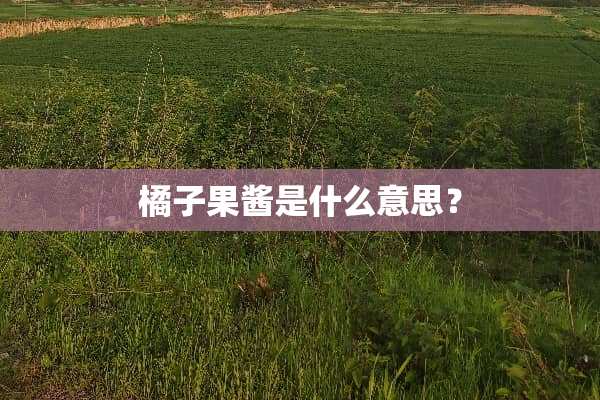 橘子果酱是什么意思？