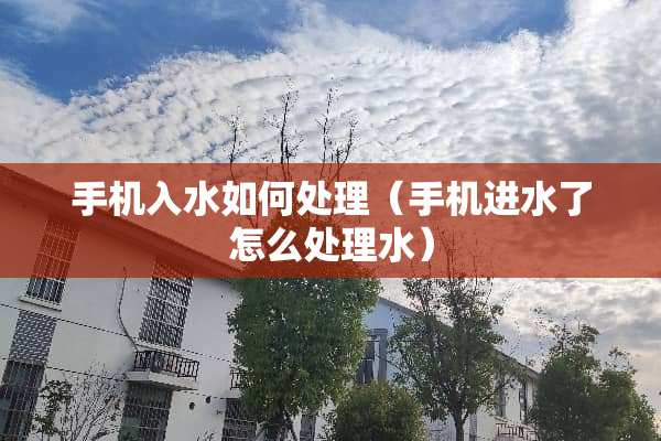 手机入水如何处理（手机进水了怎么处理水）