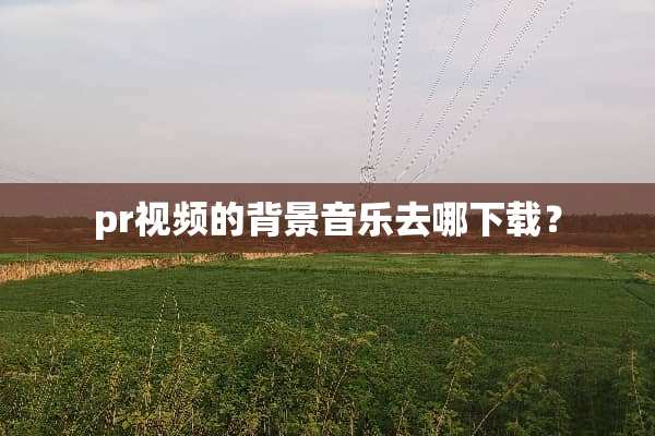 pr视频的背景音乐去哪下载？