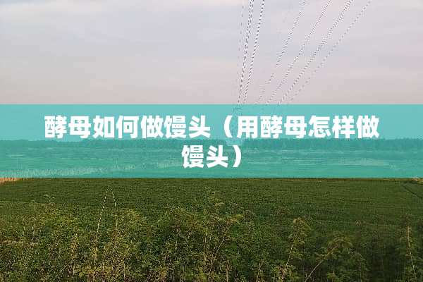 酵母如何做馒头（用酵母怎样做馒头）