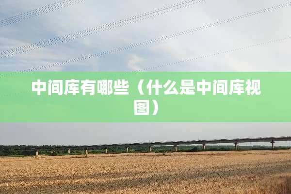 中间库有哪些（什么是中间库视图）