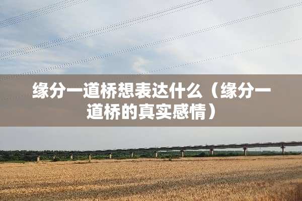 缘分一道桥想表达什么（缘分一道桥的真实感情）