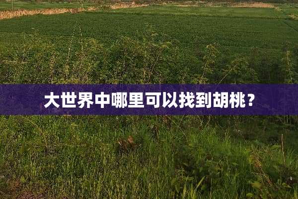 大世界中哪里可以找到胡桃？