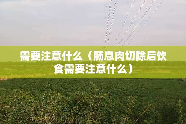 需要注意什么（肠息肉切除后饮食需要注意什么）