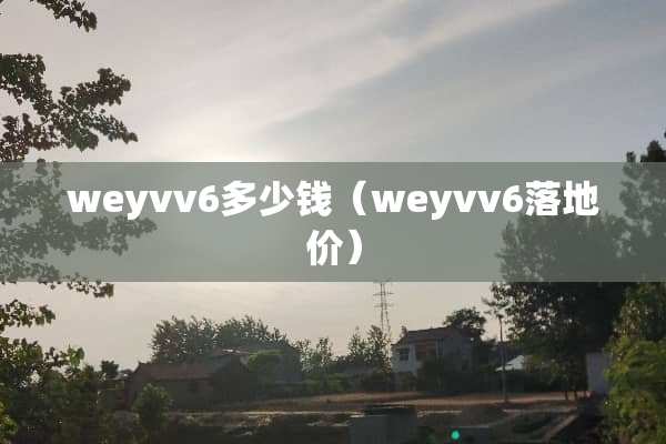 weyvv6多少钱（weyvv6落地价）