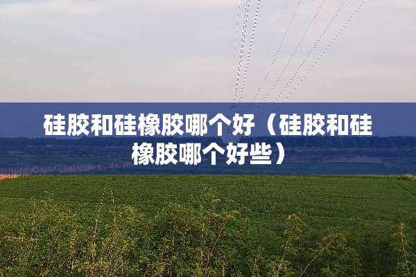 硅胶和硅橡胶哪个好（硅胶和硅橡胶哪个好些）