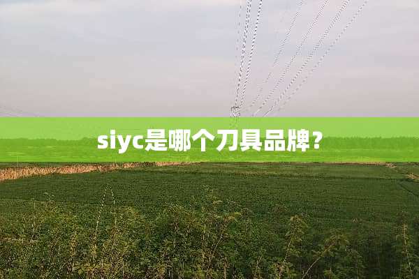 siyc是哪个**品牌？