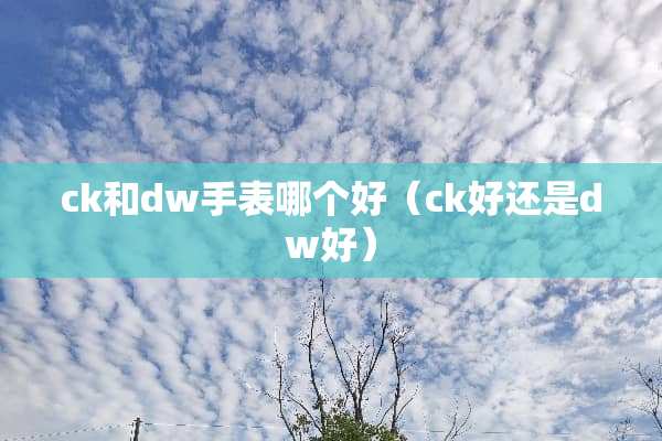 ck和dw手表哪个好（ck好还是dw好）