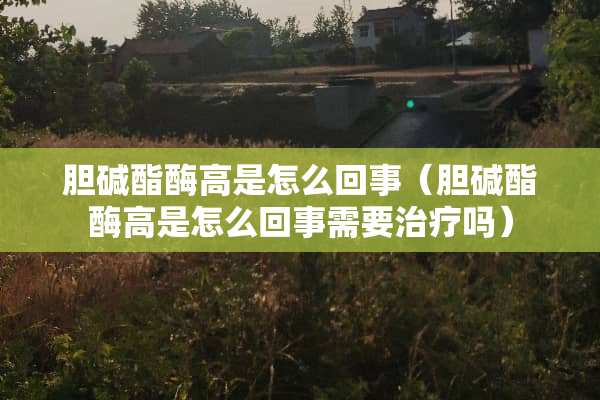 胆碱酯酶高是怎么回事（胆碱酯酶高是怎么回事需要治疗吗）