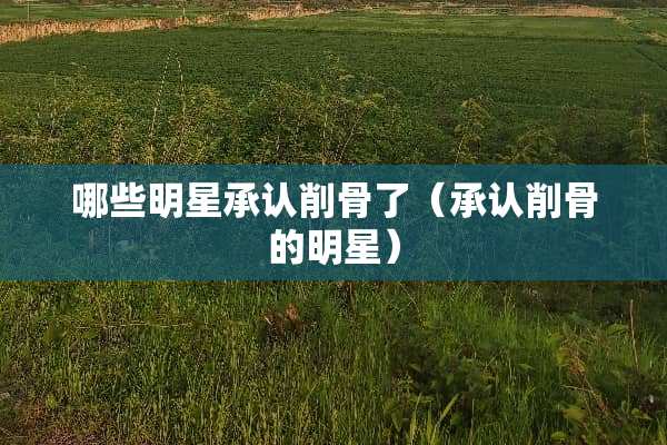 哪些明星承认削骨了（承认削骨的明星）