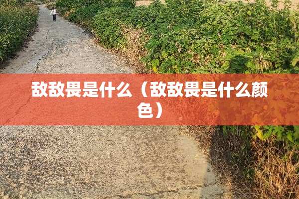 ***是什么（***是什么颜色）