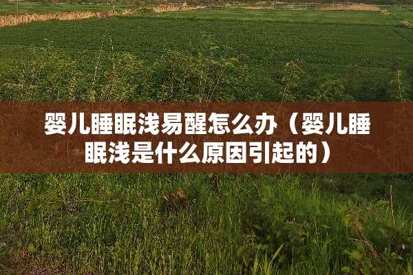 婴儿睡眠浅易醒怎么办（婴儿睡眠浅是什么原因引起的）