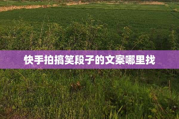 快手拍搞笑段子的文案***