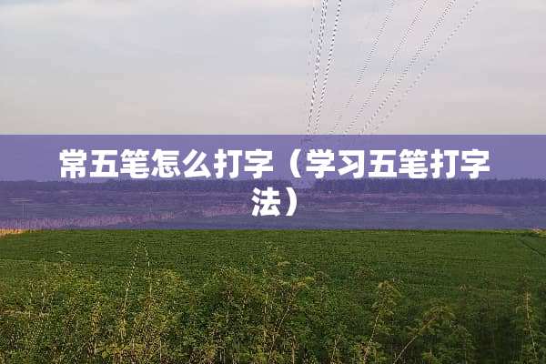 常五笔怎么打字（学习五笔打字法）