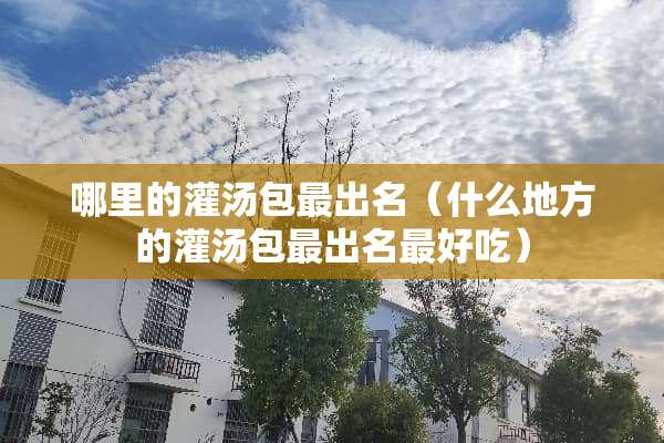 哪里的灌汤包最出名（什么地方的灌汤包最出名最好吃）