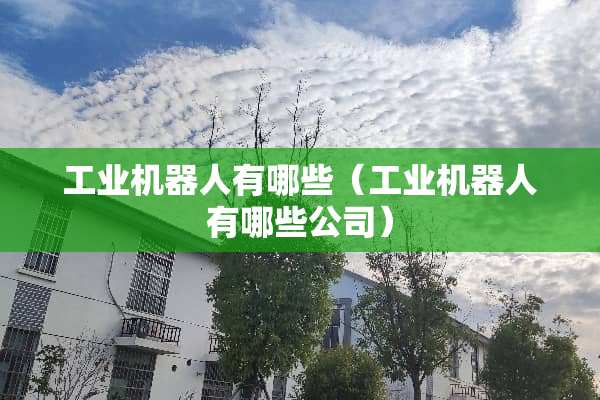 工业机器人有哪些（工业机器人有哪些公司）