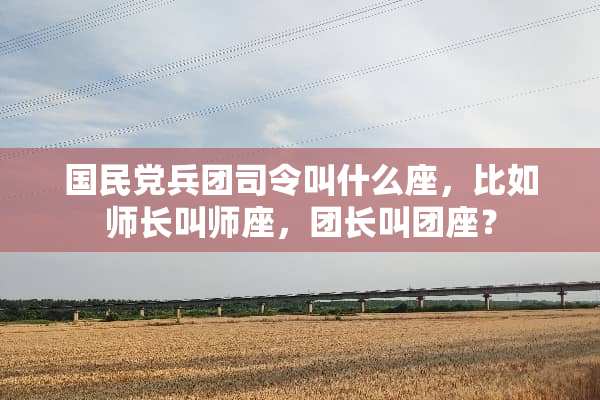 国民***司令叫什么座，比如师长叫师座，团长叫团座？