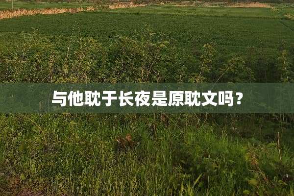 与他耽于长夜是原耽文吗？