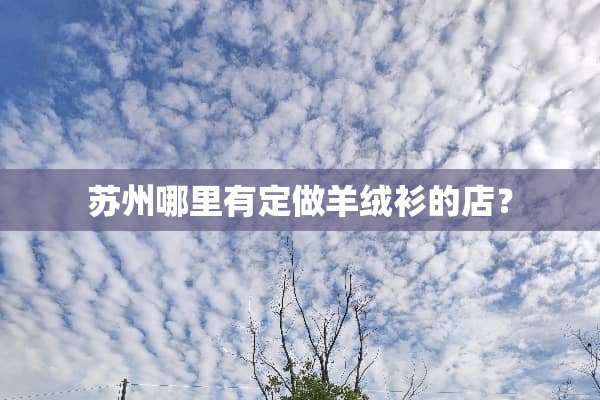 苏州哪里有定做羊绒衫的店？