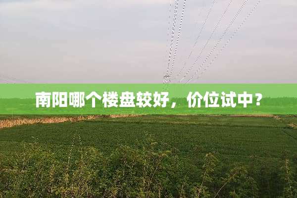 南阳哪个楼盘较好，价位试中？