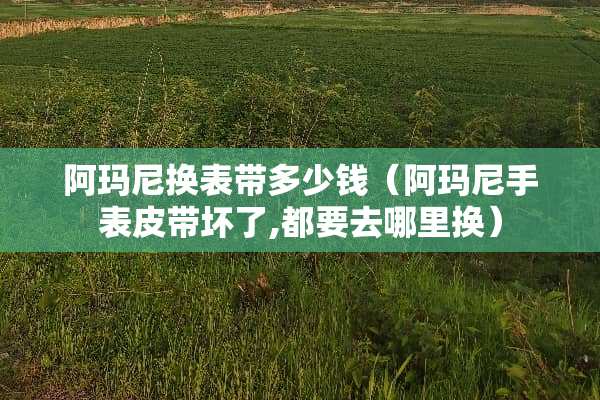 阿玛尼换表带多少钱（阿玛尼手表皮带坏了,都要去哪里换）