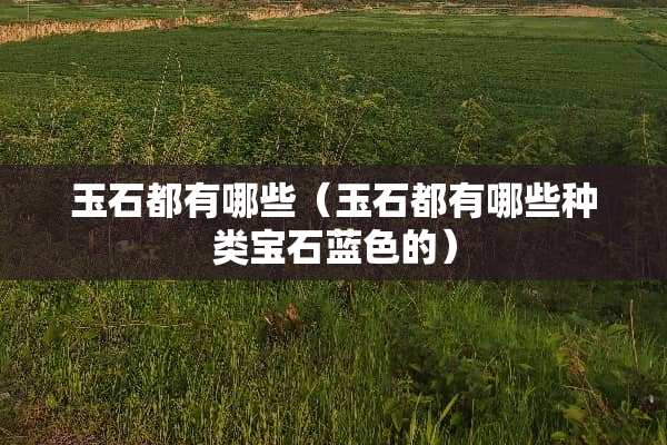 玉石都有哪些（玉石都有哪些种类宝石蓝色的）