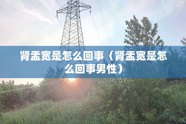 肾盂宽是怎么回事（肾盂宽是怎么回事男性）