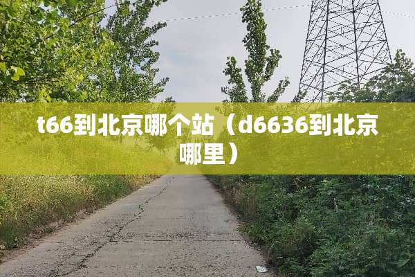 t66到北京哪个站（d6636到北京哪里）