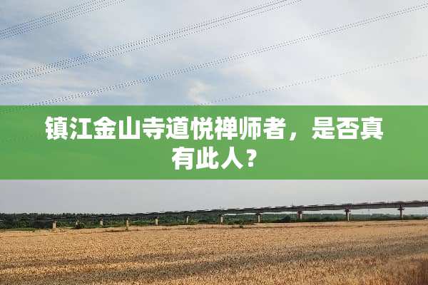 镇江金山寺道悦禅师者，是否真有此人？